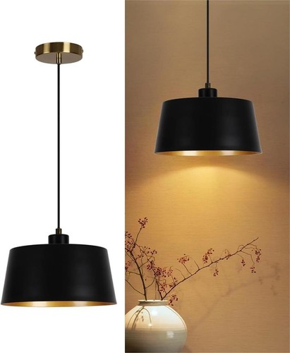 Pendant lights hanging - 9.8",